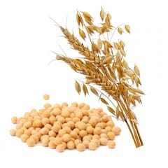 pictograma produs fibre