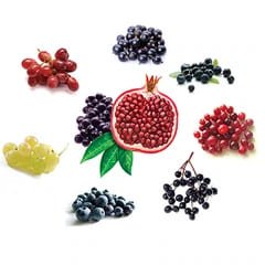 Tre - Esenţă nutriţională de super-fructe 4 pictograma produs fructe padure